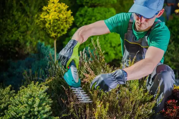 landscaping services Reading